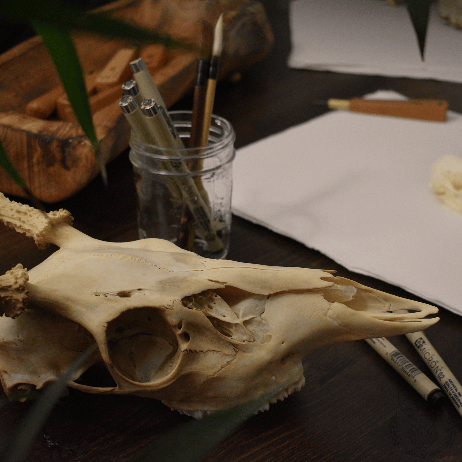 landing page-skull-art tools