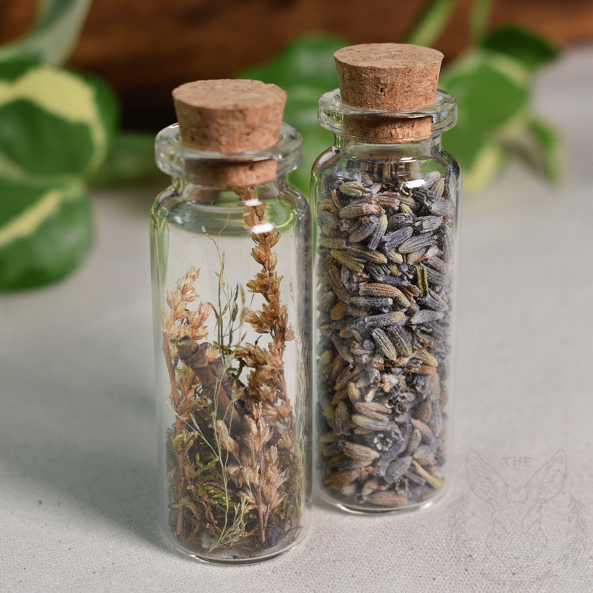 succulent terrarium necklace Terrarium Necklace 'Botanical' – The Headless Hare