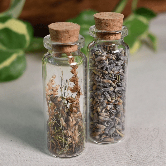 Terrarium Necklace 'Botanical'