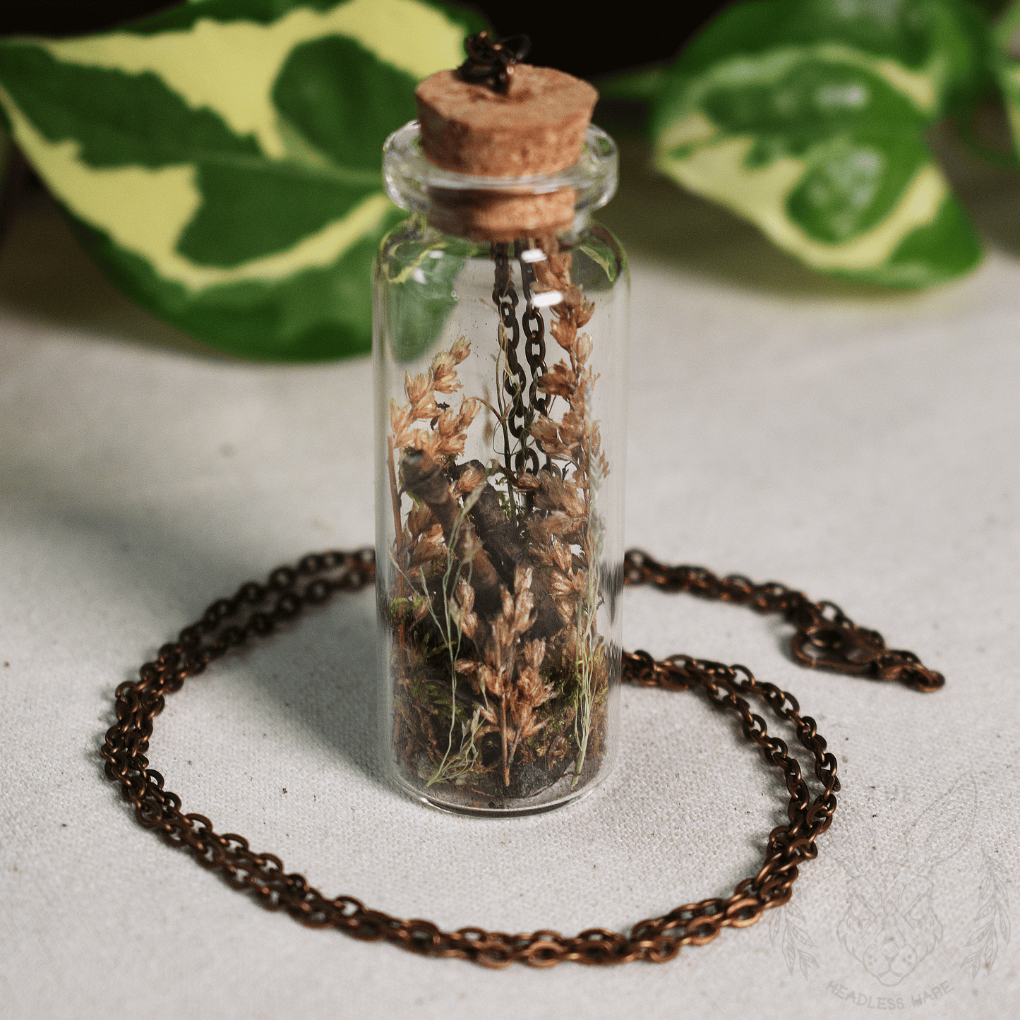 succulent terrarium necklace Terrarium Necklace 'Botanical' – The Headless Hare